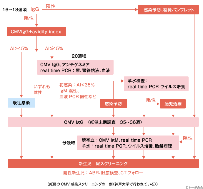 妊婦のCMV感染スクリーニングの一例（神戸大学で行われている）